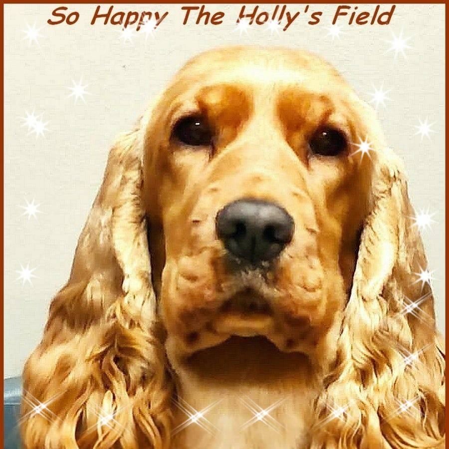 So happy The Holly's Field